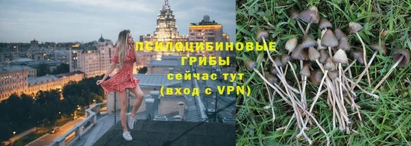 прущая мука Каменногорск