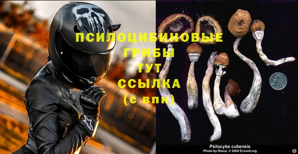 метамфетамин Каменка