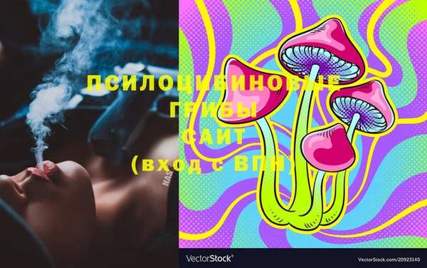 прущая мука Каменногорск