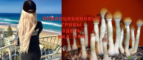метамфетамин Каменка