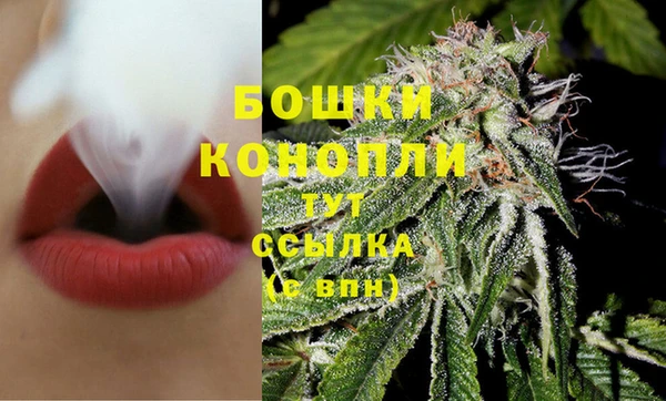 прущая мука Каменногорск