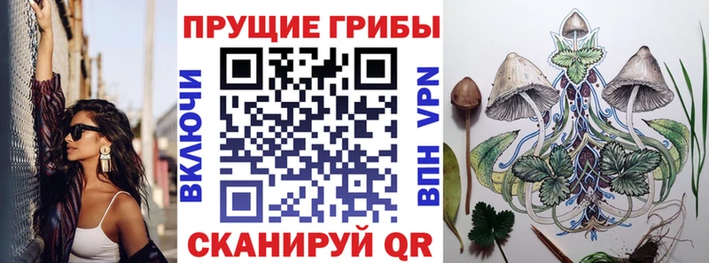 Галлюциногенные грибы Psilocybe Купить где Карпинск